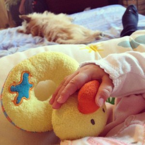Ducky