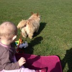 Doggie won't go far if I've got this!