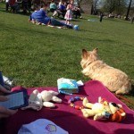 Homily, totally focused on the picnic over there