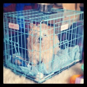 Can I come out yet?!