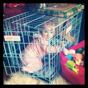 Investigating the jailhouse!
