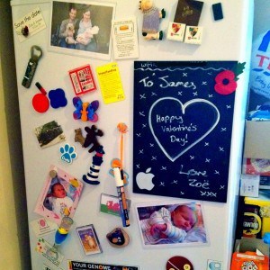 Our fridge magnet collection!