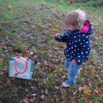 Looking for acorns