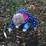Picking up acorns