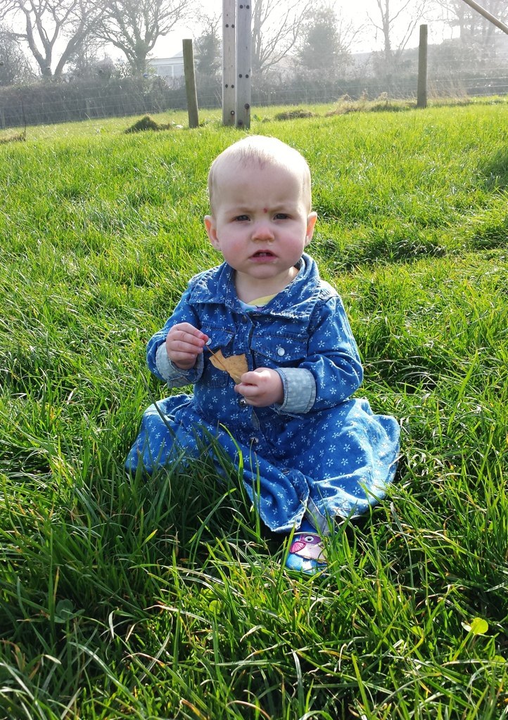 20140315-191747.jpg