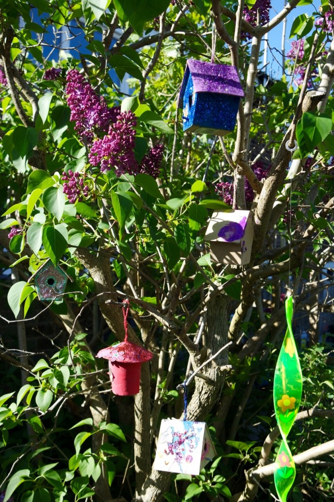 Fairy Houses