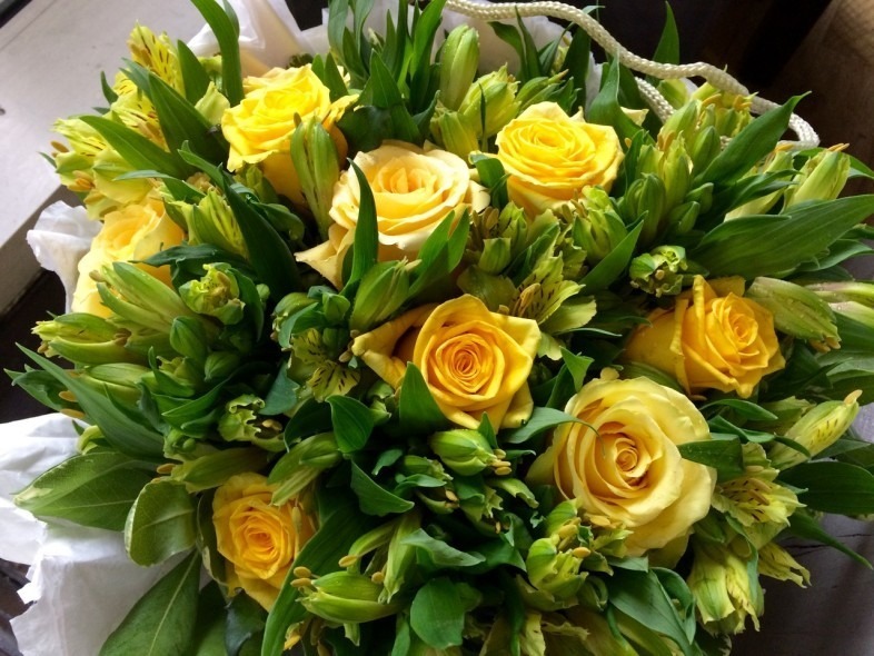 Roses