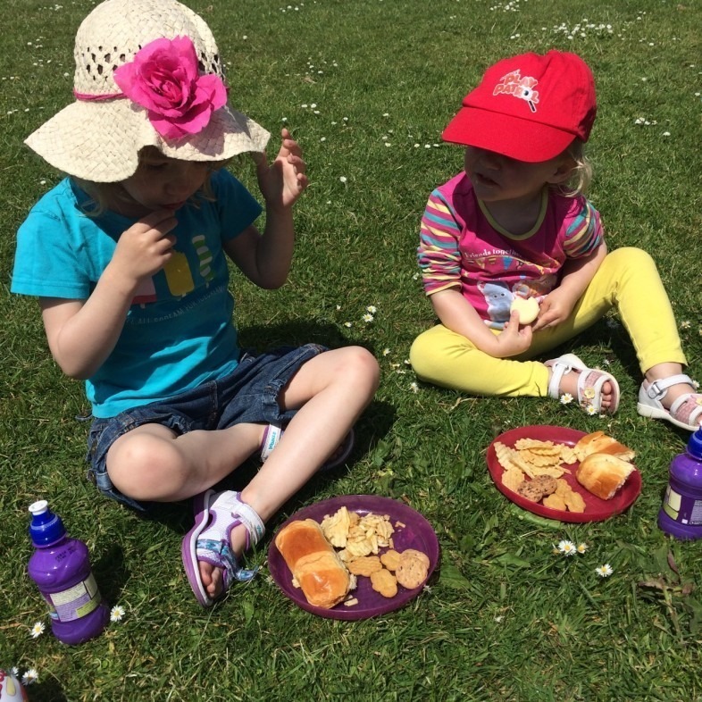 Picnic