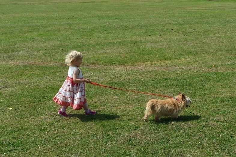 Lydia walking Homily dog