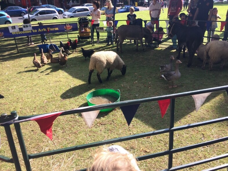 Animals on the Green