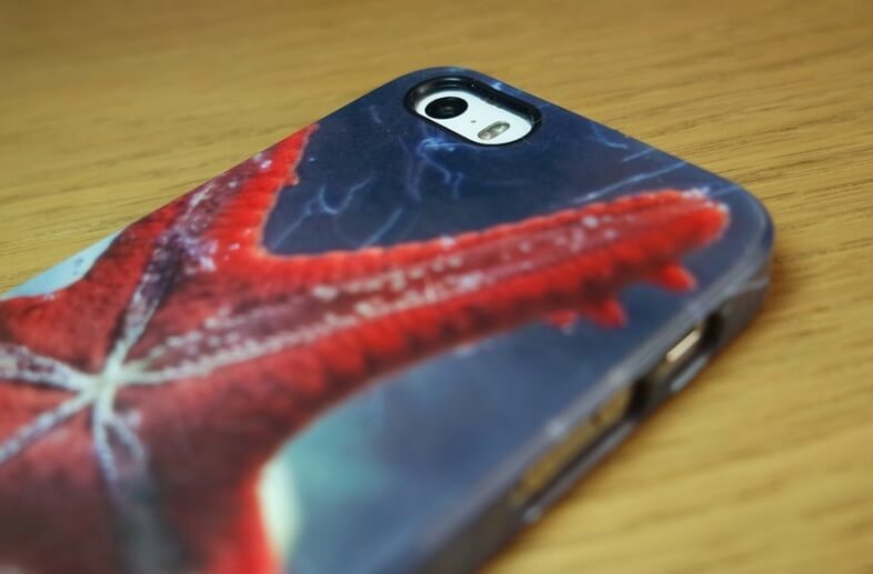 iPhone 5S in Ideal Cases case