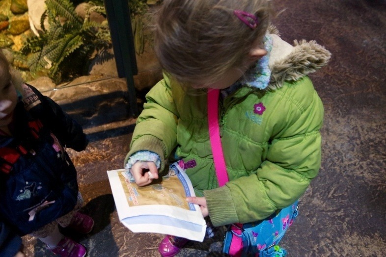 Dinosaur Detective Trail