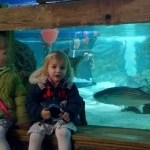 Sea Life Centre