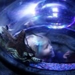 Lydia looking at Starfish
