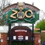 Zoo - Thomas Land at Drayton Manor