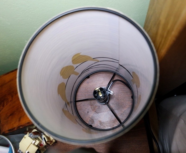 Inside the bird lamp