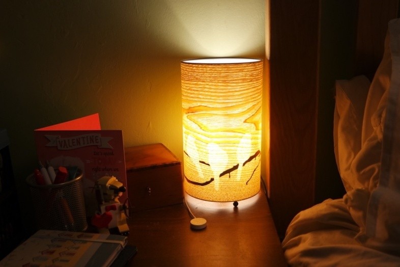 Bird lamp on
