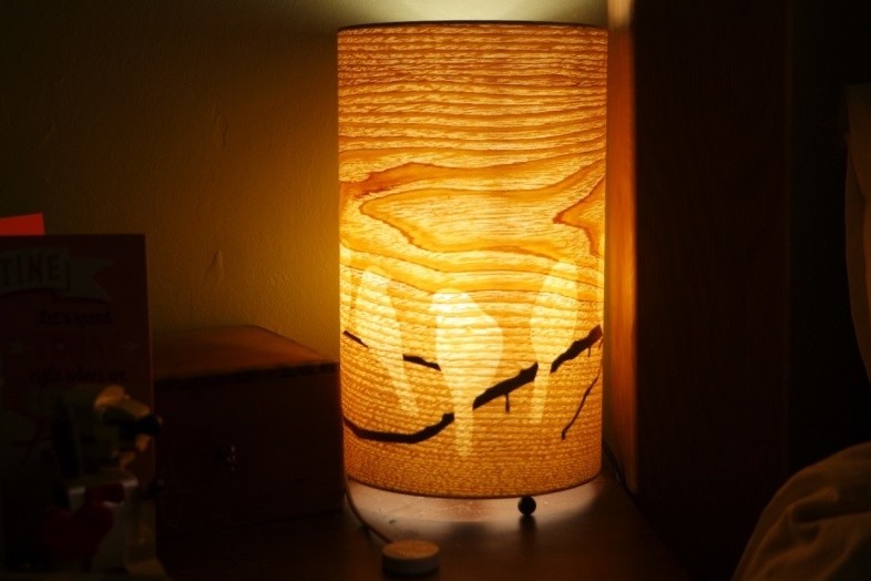 Bird lamp