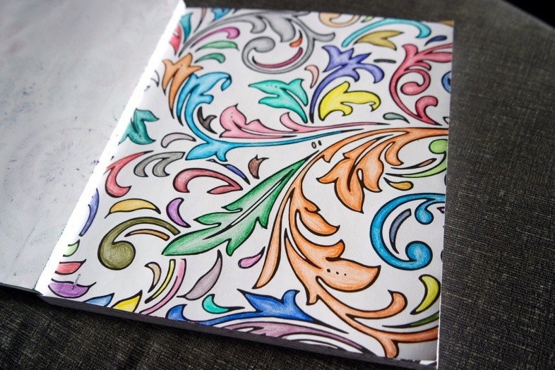 Crayola adult colouring pencils