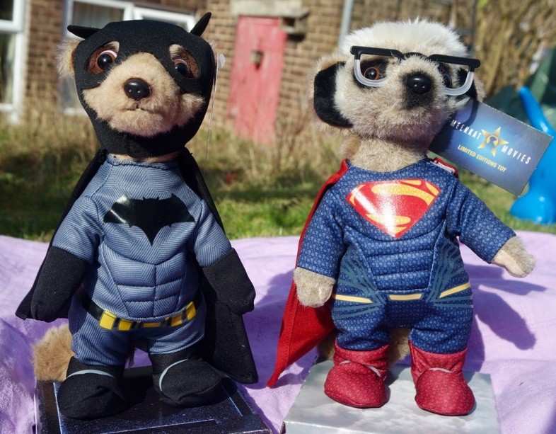 Batman v Superman Meerkats