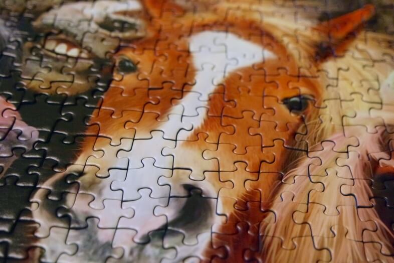 Ravensburger Horsing Around