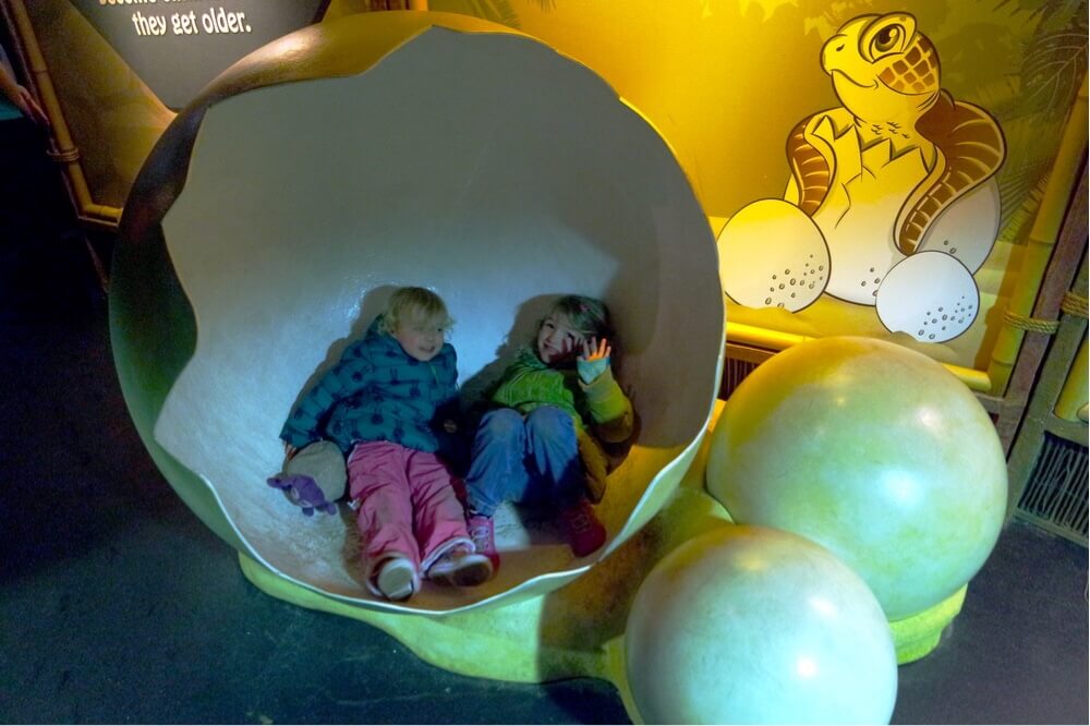 kids in turtle eggshell