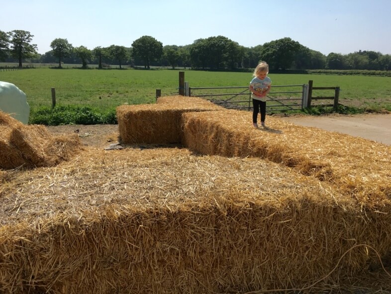 At the farm