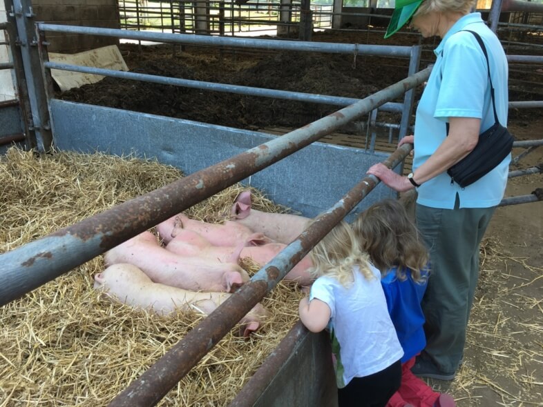 Open Farm Sunday