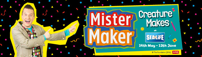 Mister Maker
