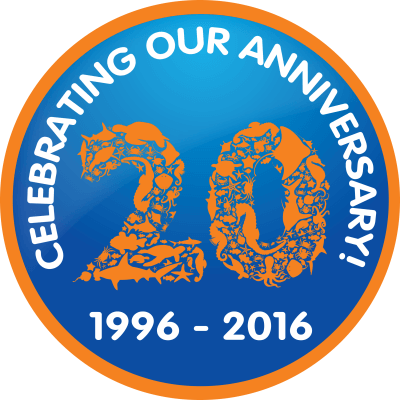 20th anniversary