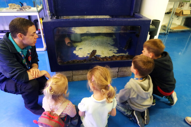 Behind the scenes - Sea Life Birmingham