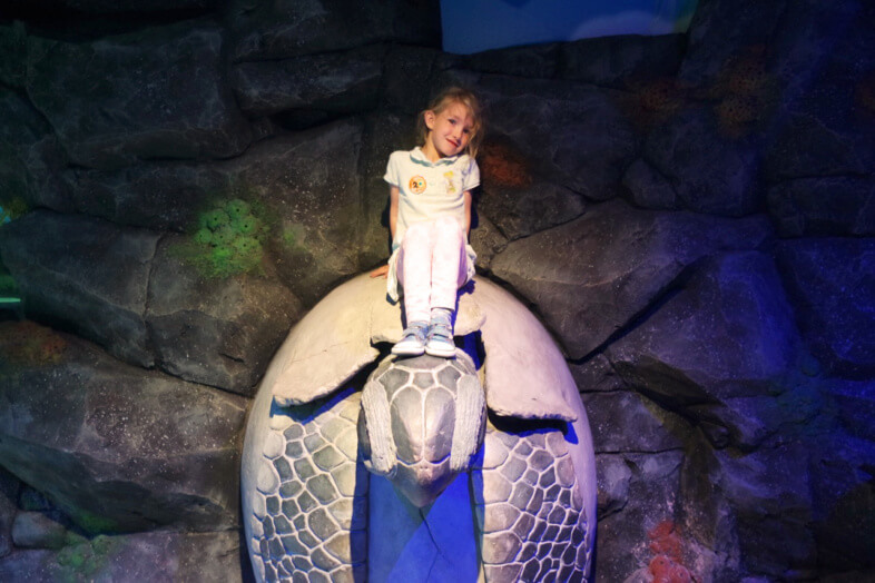 Georgie - Sea Life Birmingham