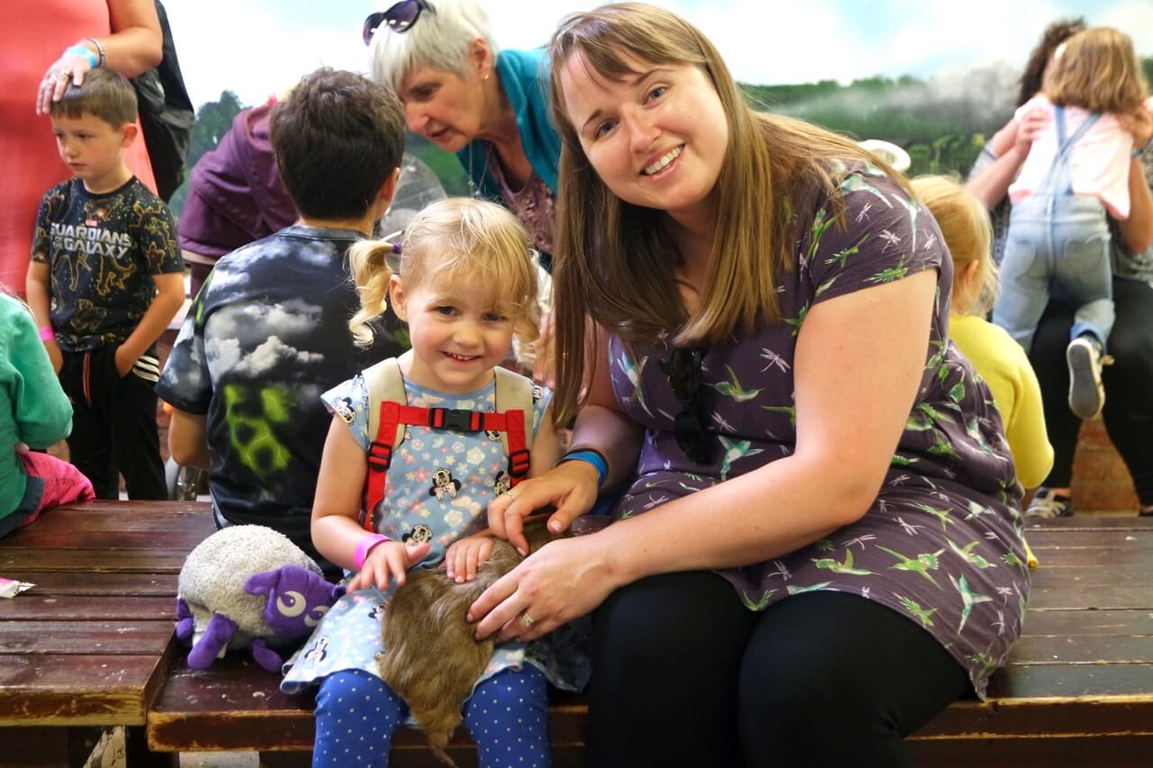 Great Summer Adventures at Hatton Adventure World
