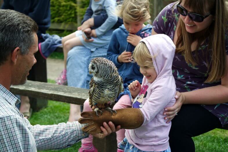 Great Summer Adventures at Hatton Adventure World