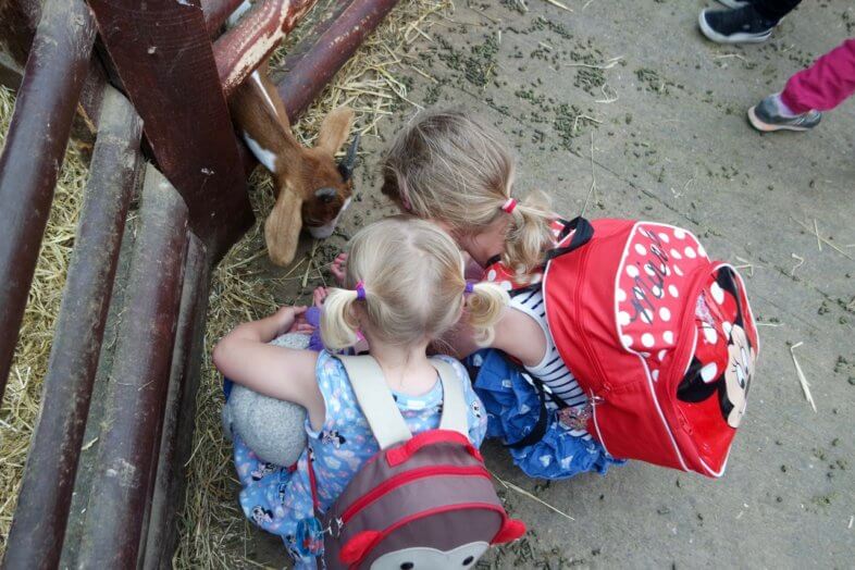 Great Summer Adventures at Hatton Adventure World