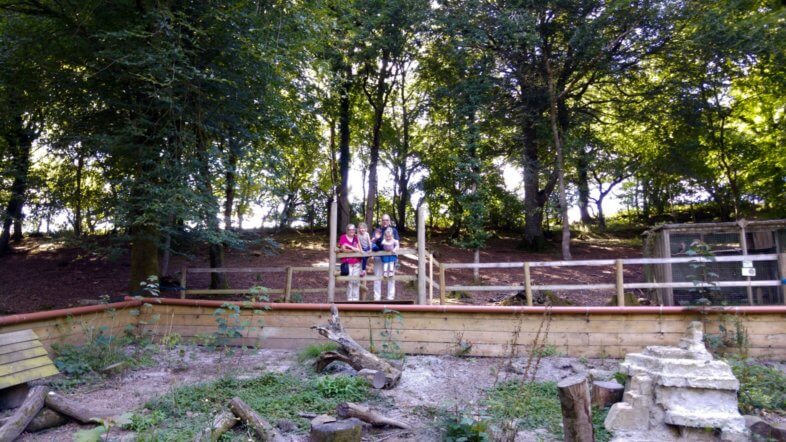Otter Wildlife Centre
