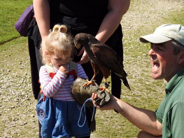 Lydia with the Harris Hawk