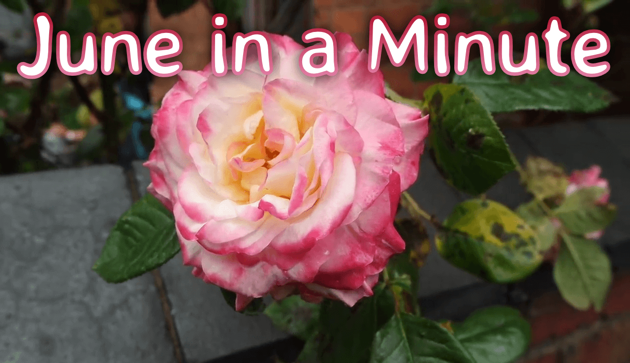 June in a Minute