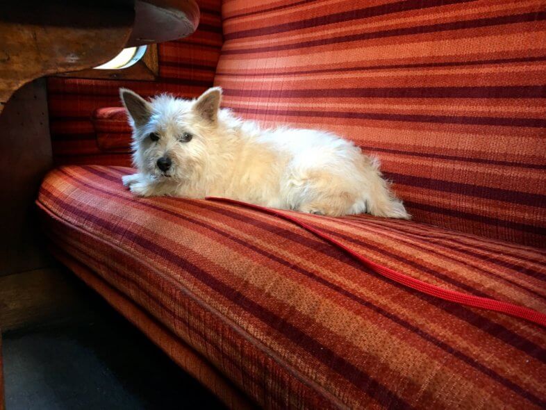 Homily on the train