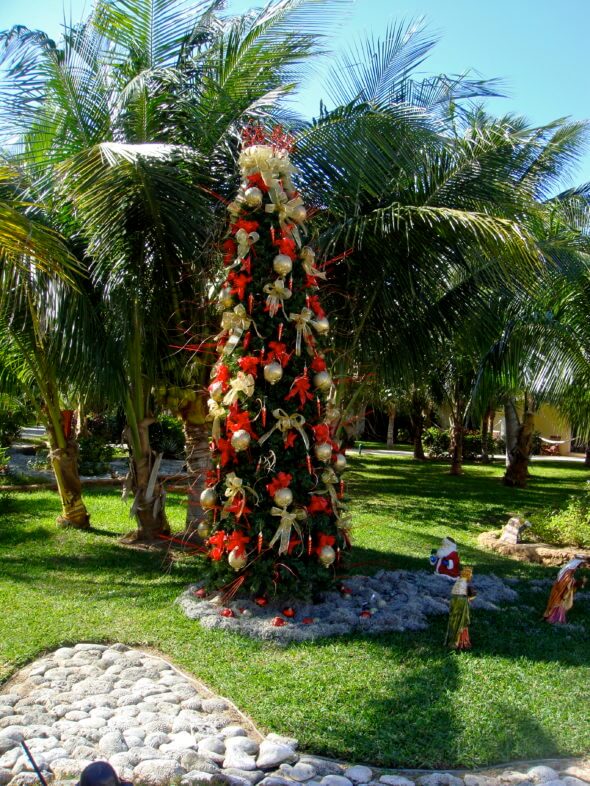 Christmas Tree in Mexico