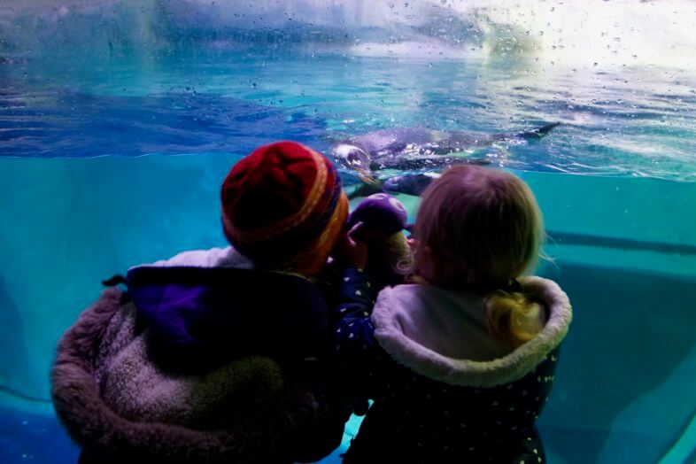 Seeing Santa at the Sea Life Centre