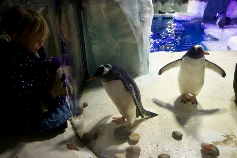 Seeing Santa at the Sea Life Centre
