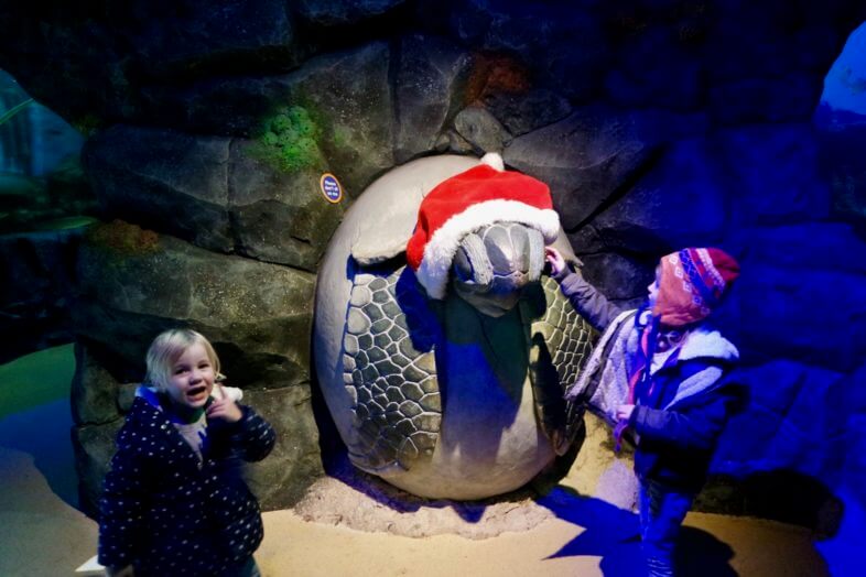 Seeing Santa at the Sea Life Centre