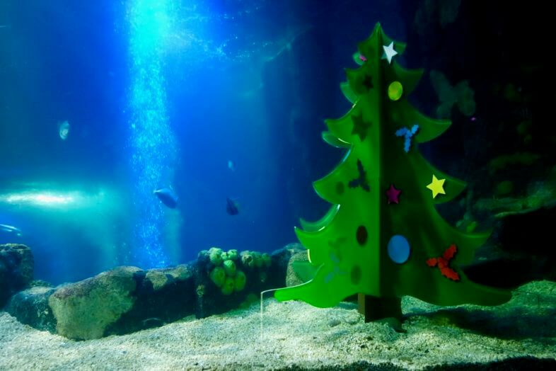 Seeing Santa at the Sea Life Centre