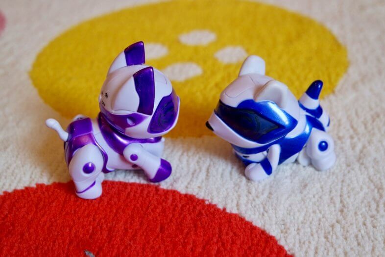 Teksta Micro-Pets Kitty and Raccoon