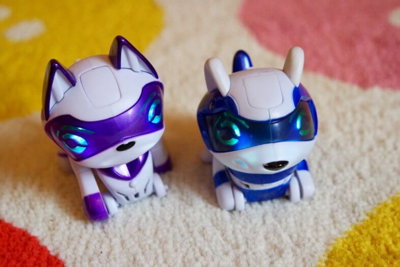 Teksta Micro-Pets Kitty and Raccoon