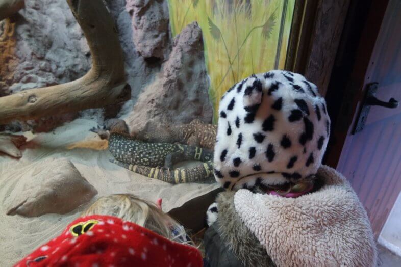 A day at West Midland Safari Park, Little Explorers Half Term Event