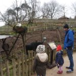 A day at West Midland Safari Park, Little Explorers Half Term Event