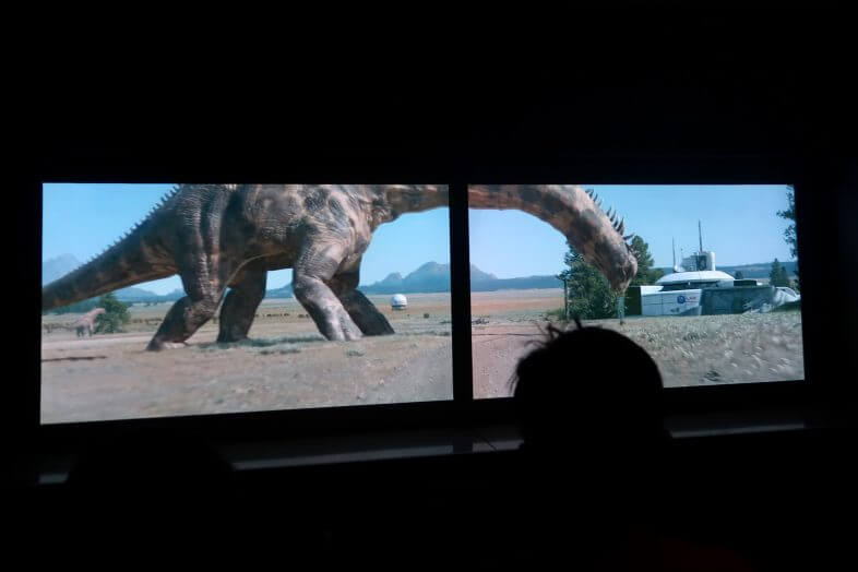Dinosaurs in the Wild, NEC