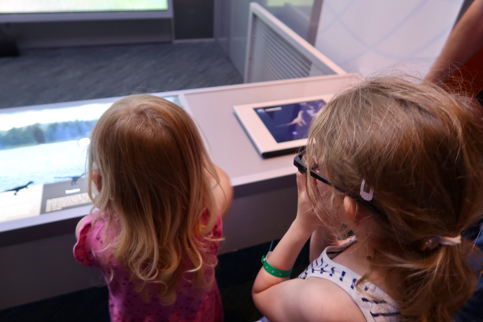Dinosaurs in the Wild, NEC